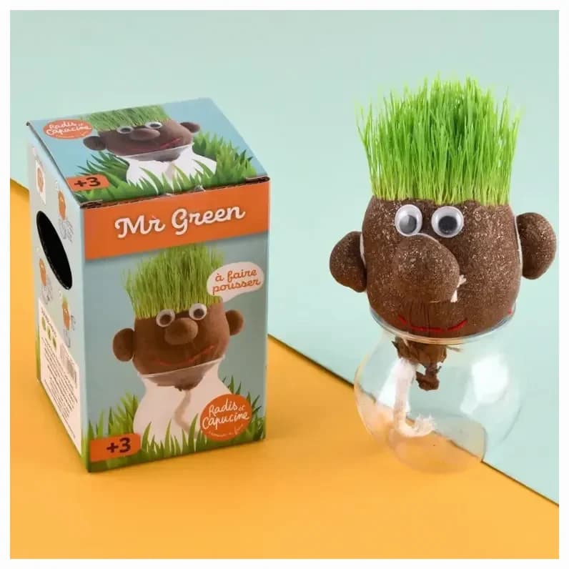 Kit creativo para empujar del Sr. Cara de Papa