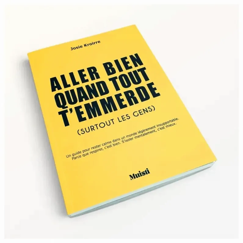Cuaderno / Libro falso - Sentirse bien cuando todo te irrita (especialmente la gente)